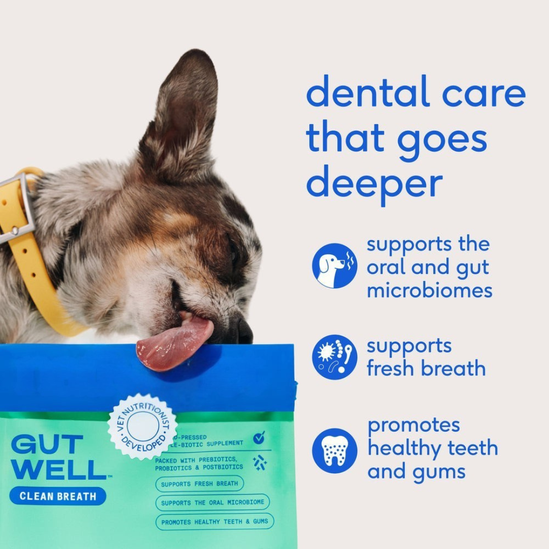 GUTWELL CLEAN BREATH